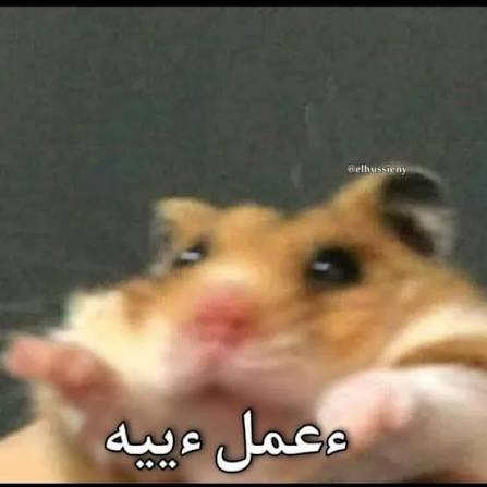 asdasd